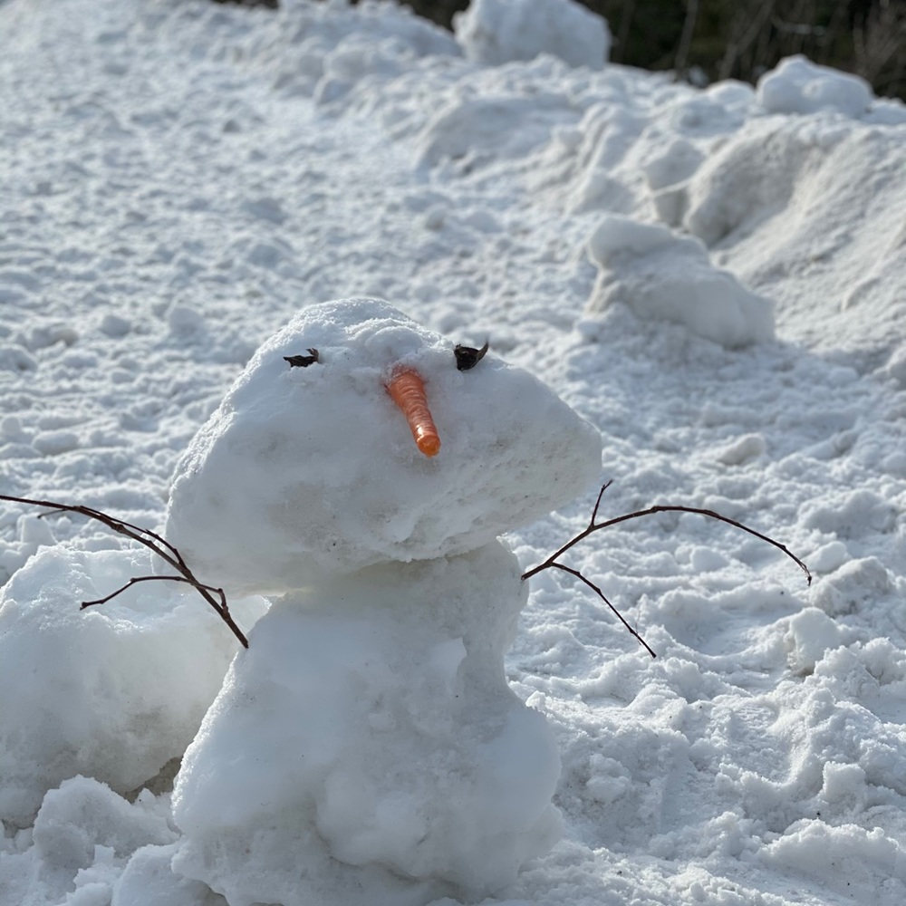 Meet your Posher, Fifi